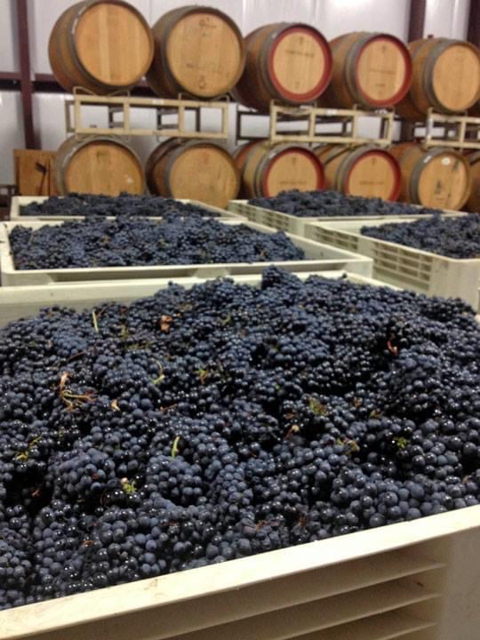 Wine country experience at Dono dal Cielo
