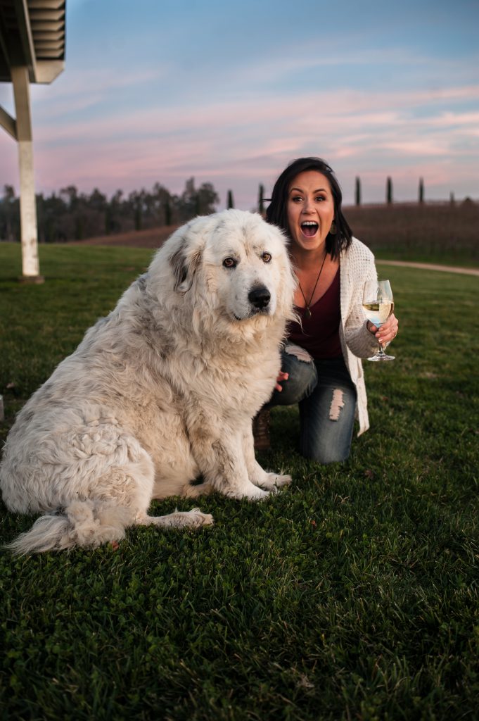 Mim with Pearl, Dono dal Cielo's Great Pyrenees, in the vineyard